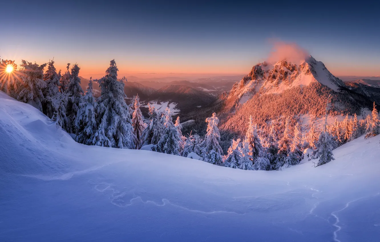 Photo wallpaper winter, snow, trees, sunset, mountain, ate, top, the snow