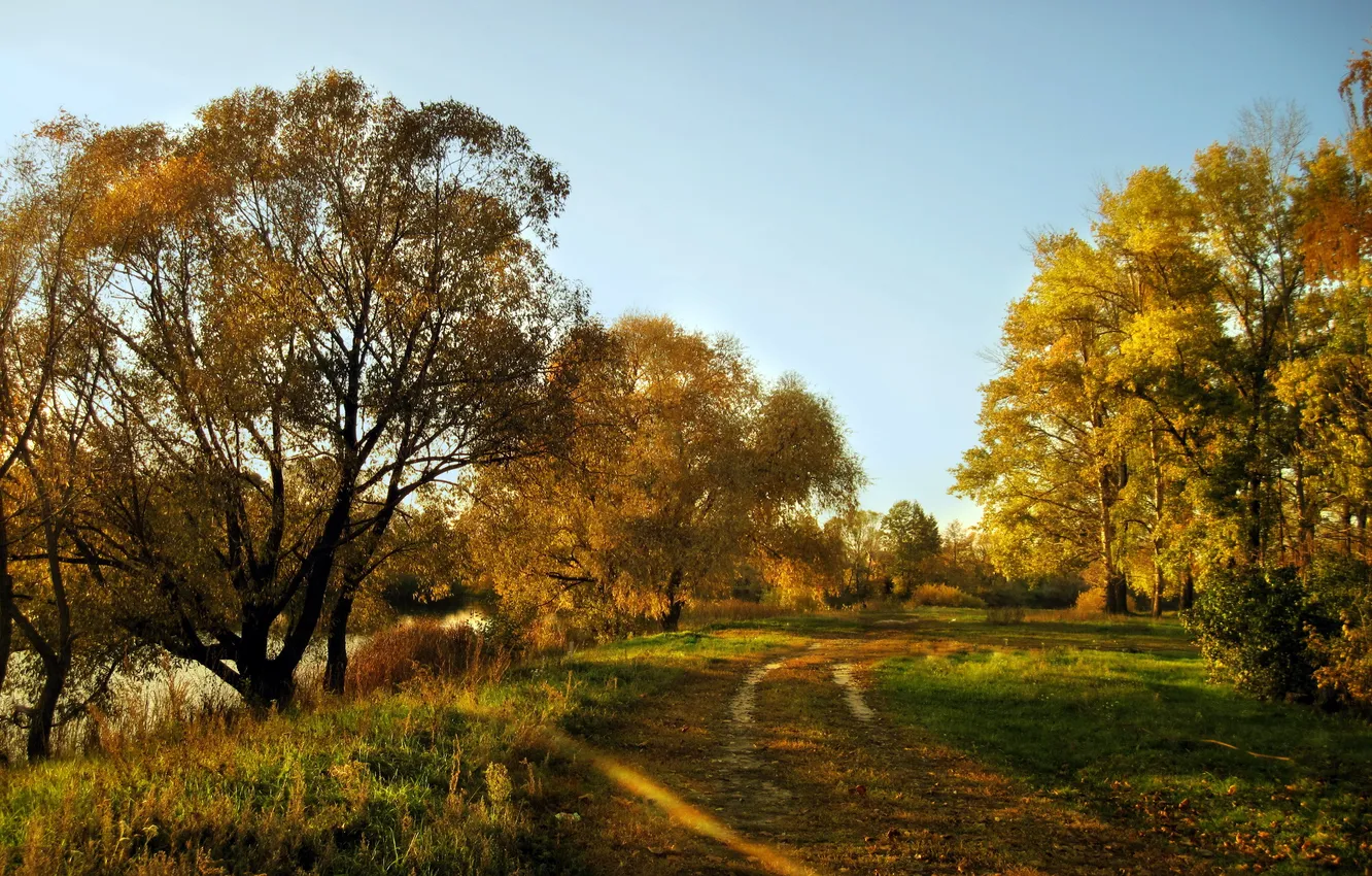 Photo wallpaper road, autumn, landscape