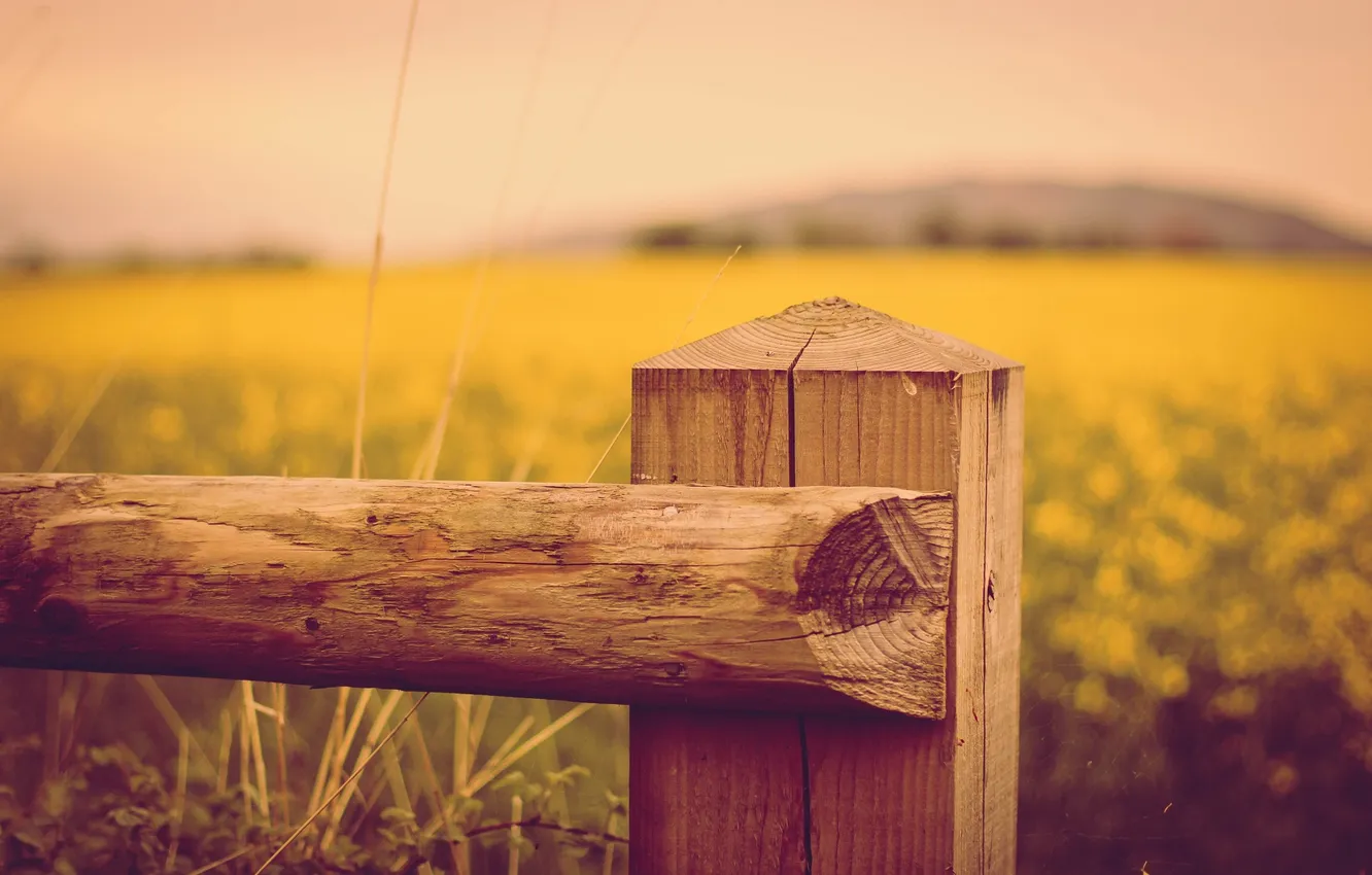 Photo wallpaper the sky, hills, the fence, field of flowers, bokeh