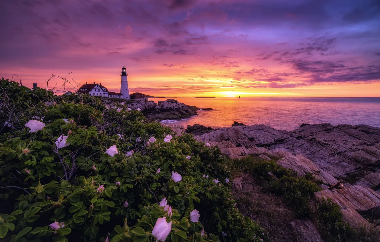 Photo wallpaper sea, sunset, lighthouse