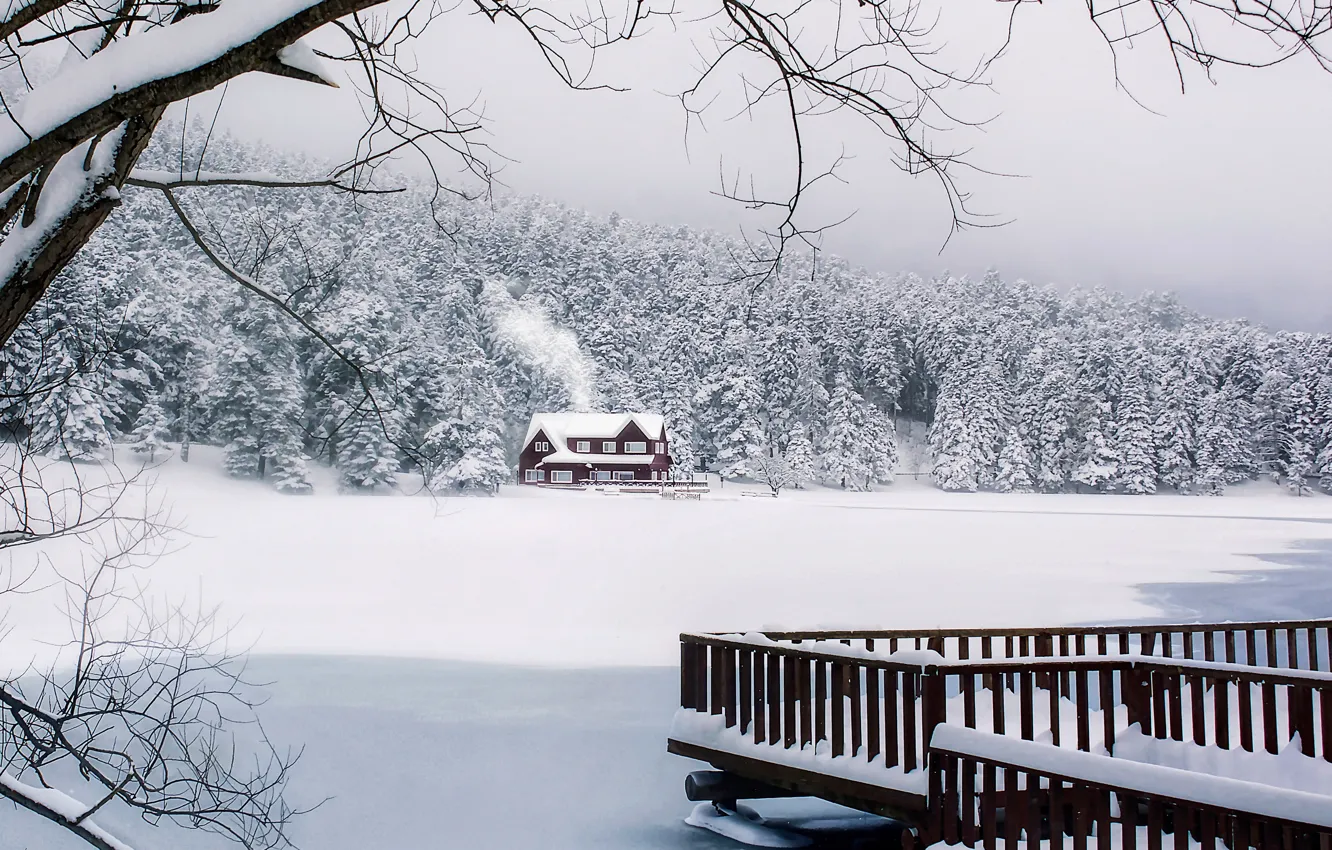 Photo wallpaper winter, forest, snow, house, Turkey, Turkey, Geljuk, Pool