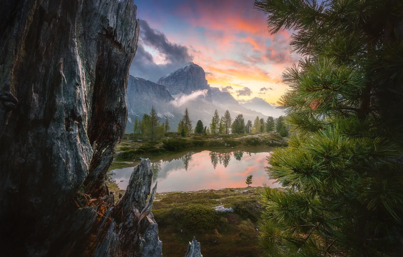 Photo wallpaper clouds, trees, mountains, branches, fog, lake, stones, rocks