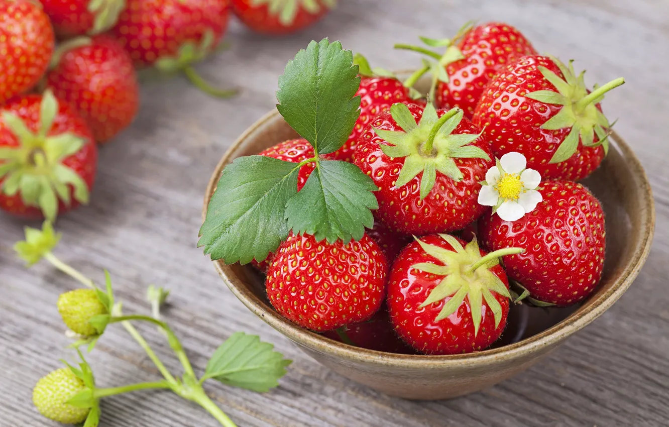Photo wallpaper flower, berries, strawberry