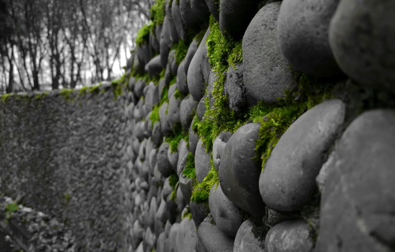 Photo wallpaper greens, stones, grey, color, moss, masonry