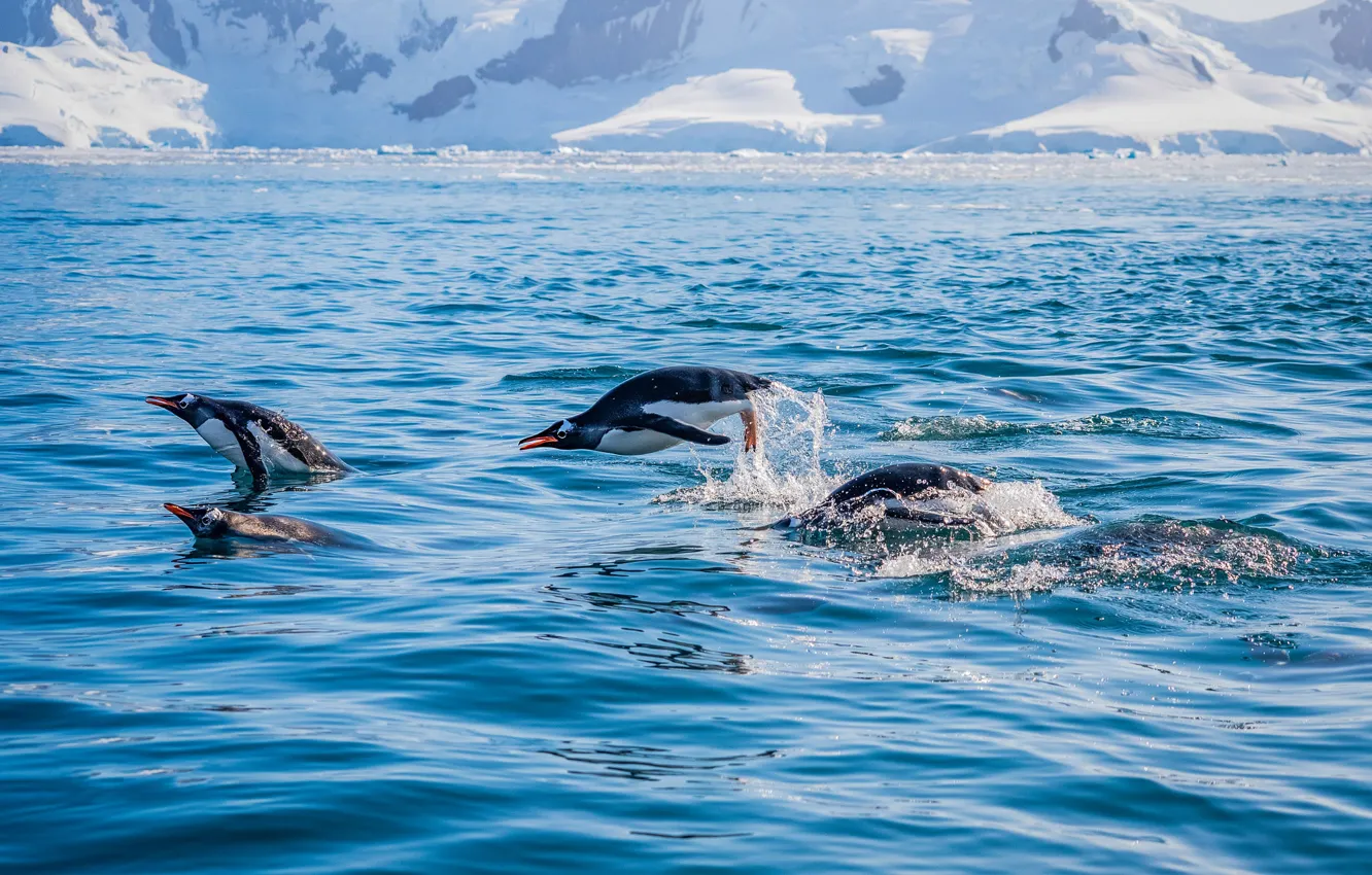 Photo wallpaper ice, winter, wave, water, light, snow, squirt, nature