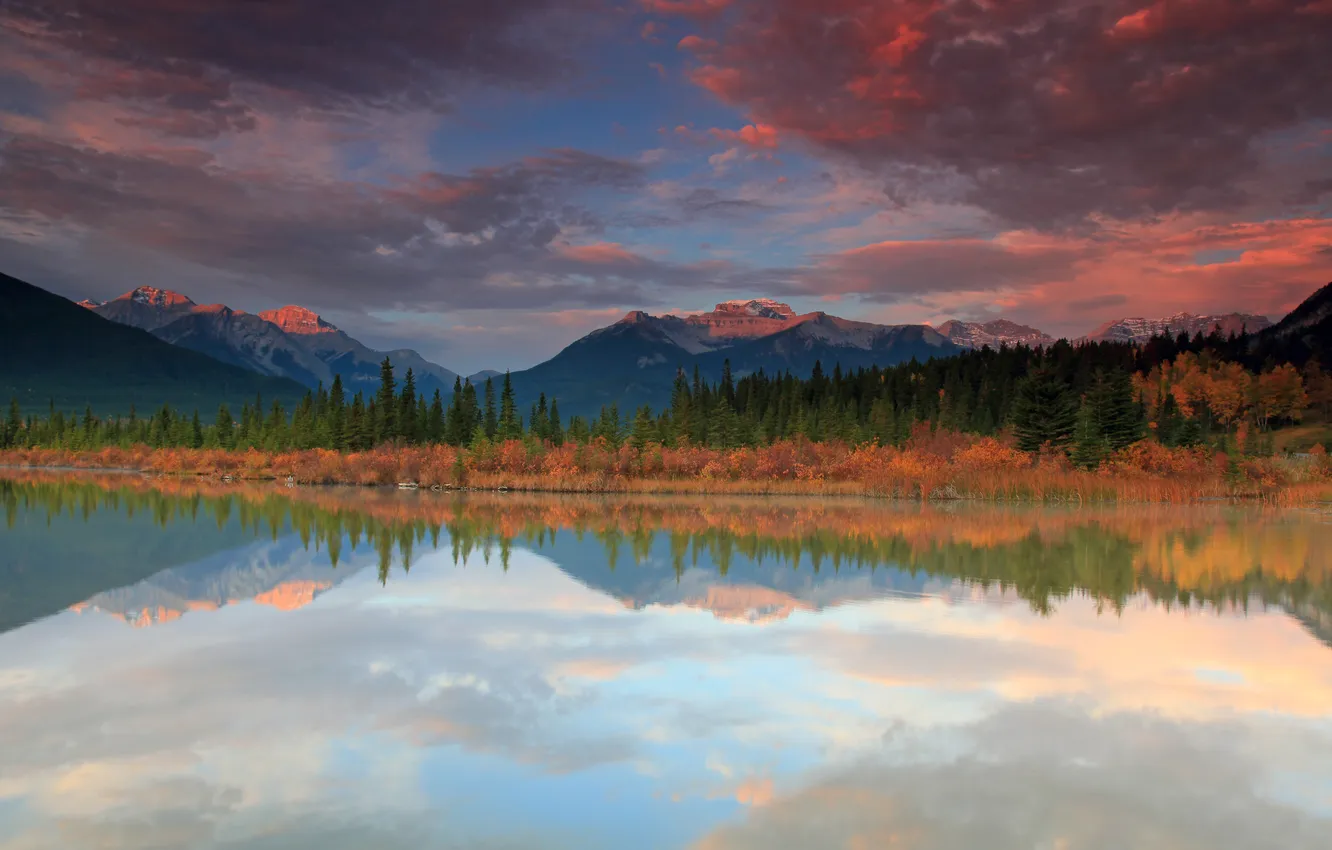Photo wallpaper forest, the sky, mountains, river