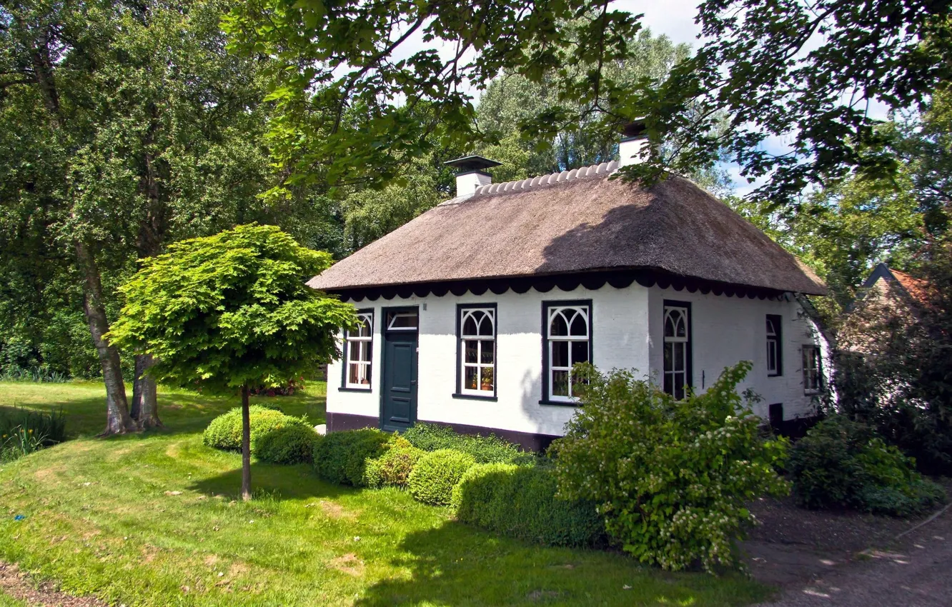 Photo wallpaper greens, comfort, house