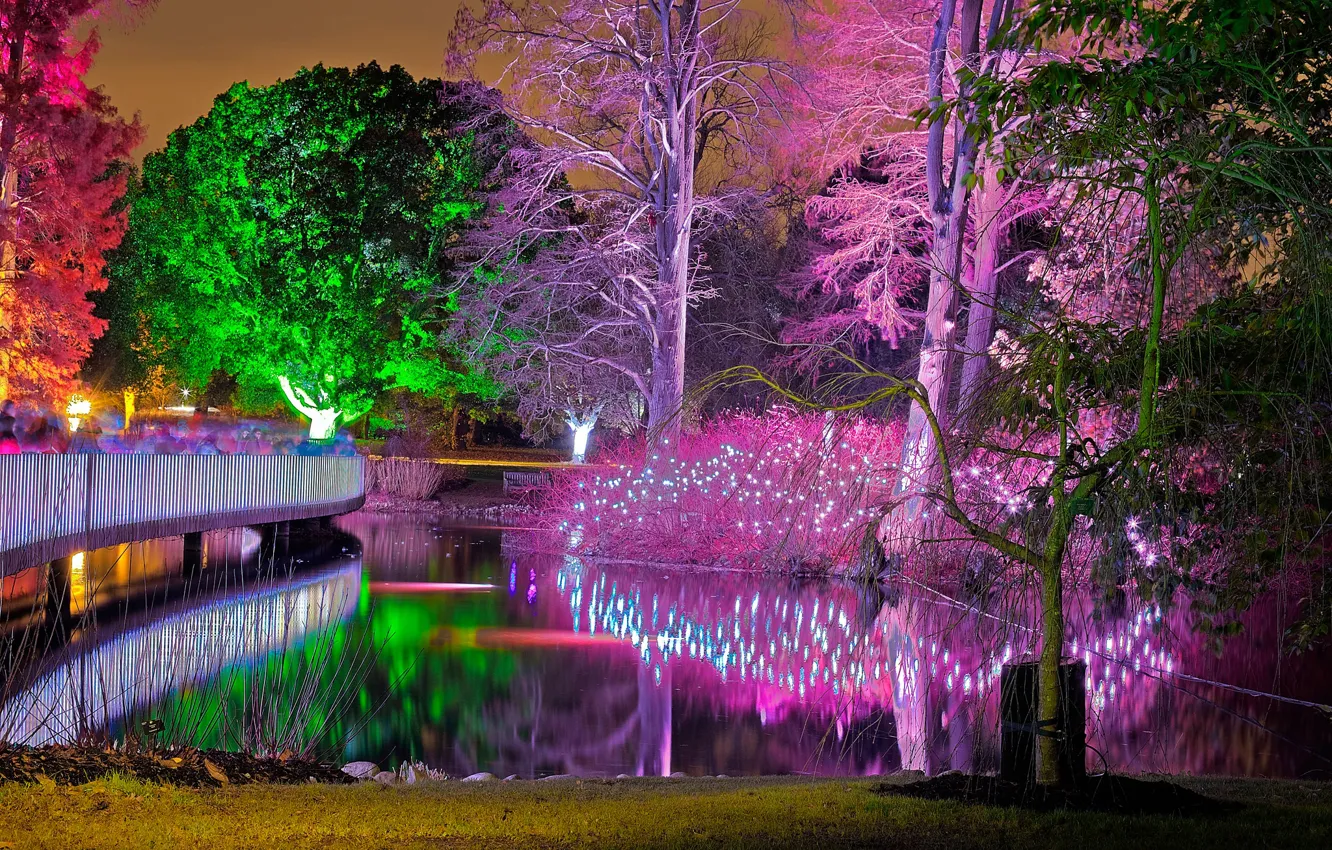 Photo wallpaper trees, lights, England, London, Christmas, garland, Q, Royal Botanic gardens