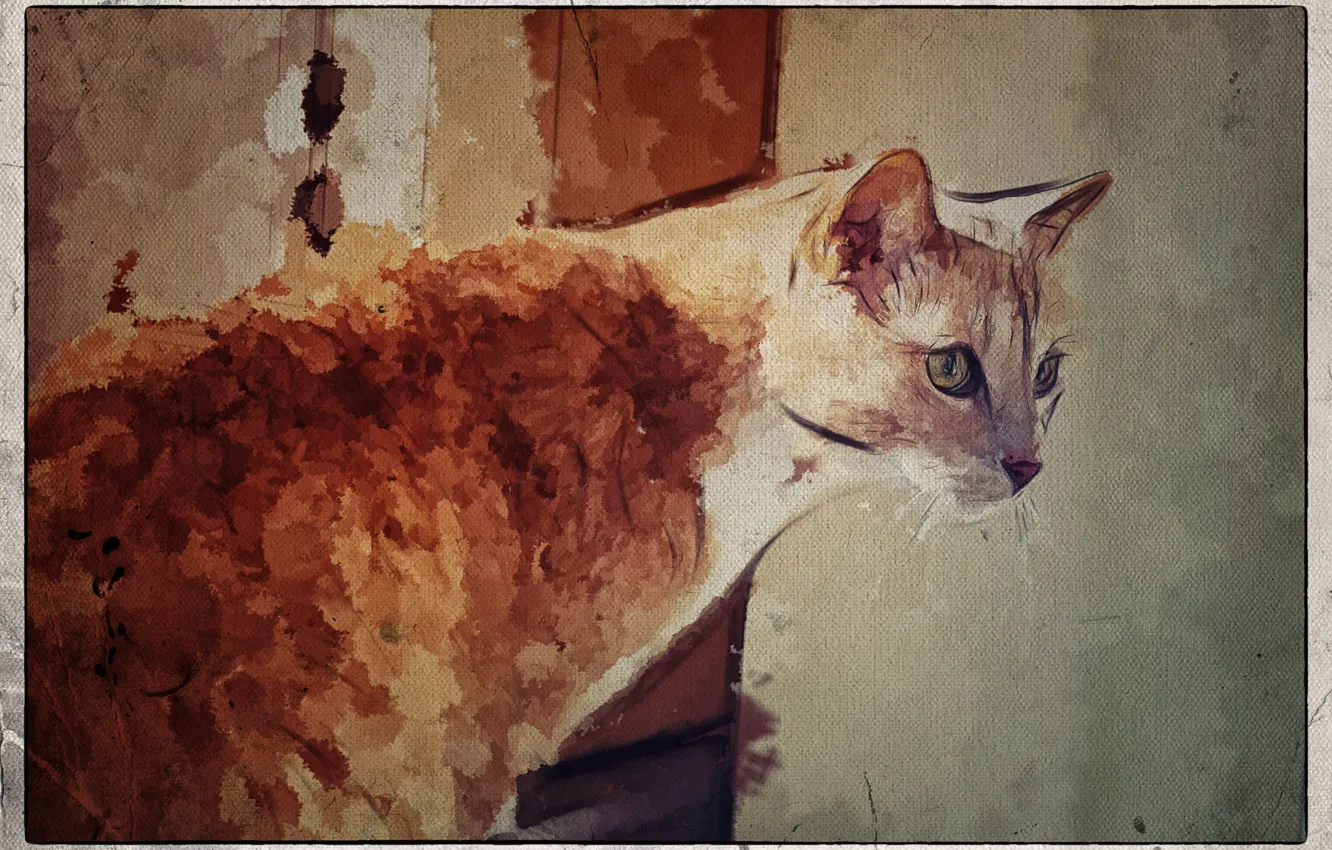 Photo wallpaper cat, figure, picture, art