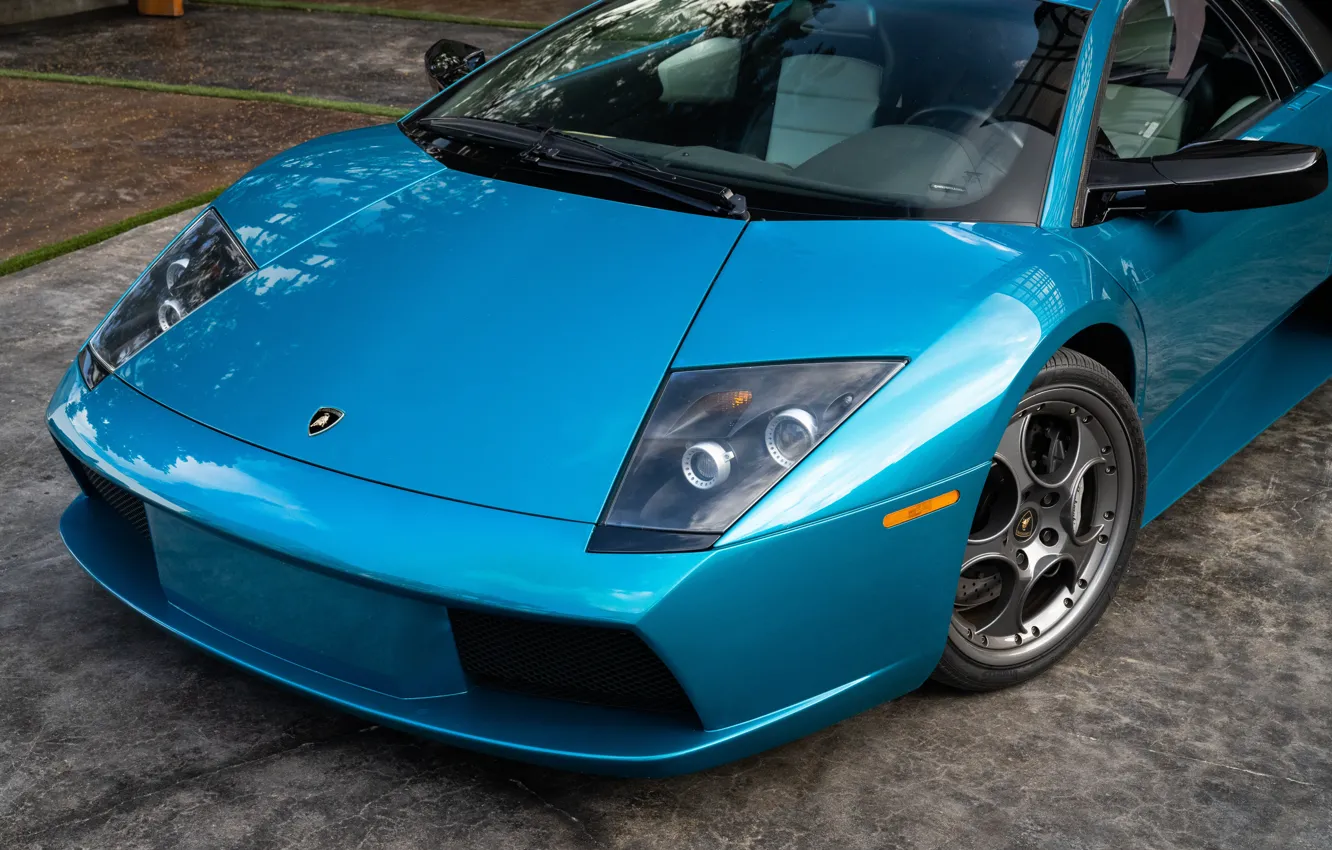 Photo wallpaper Lamborghini, Lamborghini Murcielago, Murcielago, close up