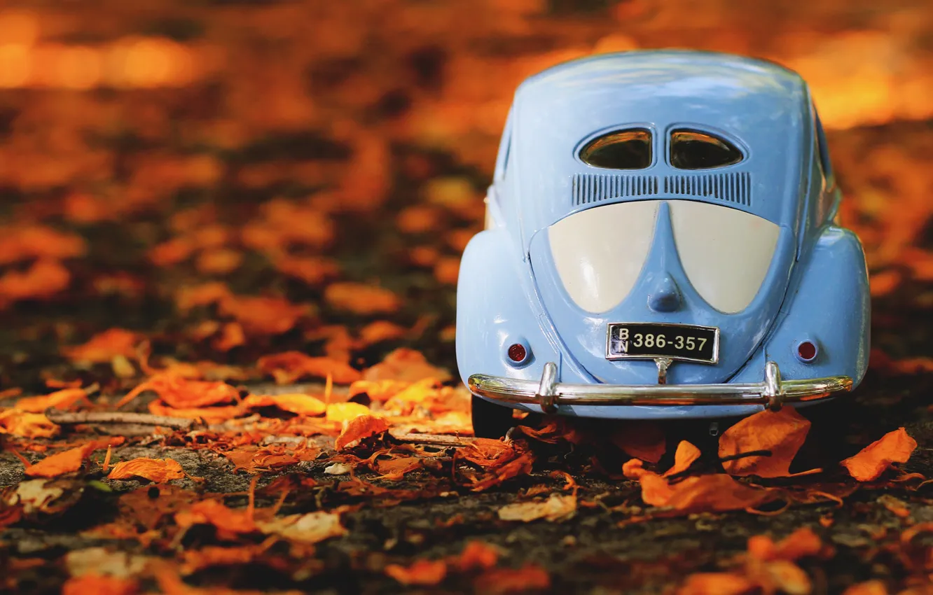 Photo wallpaper machine, auto, autumn, leaves, nature, background, foliage, toy