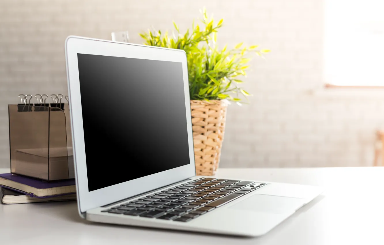 Photo wallpaper flowers, laptop, hi-tech