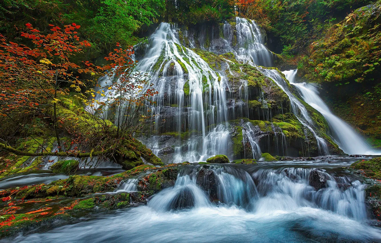 Photo wallpaper autumn, trees, waterfall, stream, USA, Washington, Skamania
