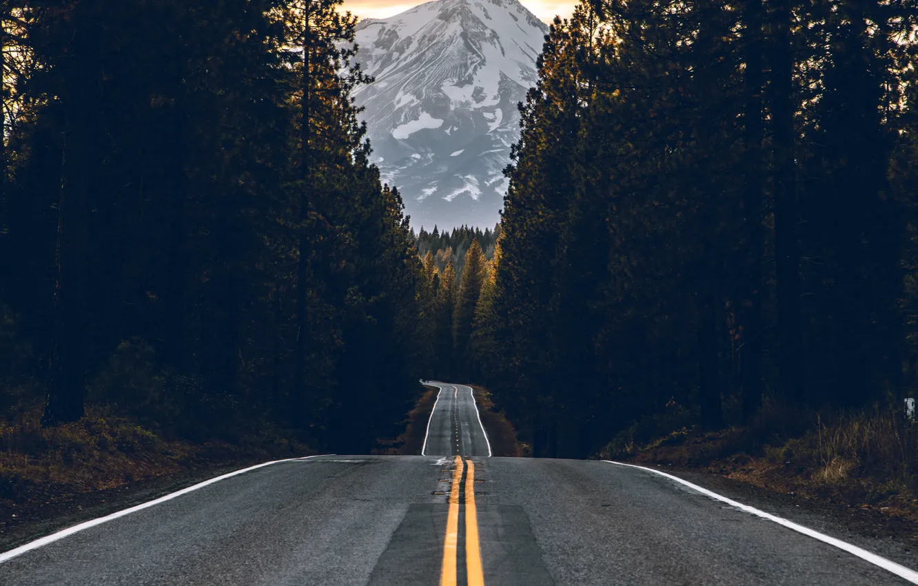 Photo wallpaper forest, road, sky, trees, nature, yellow, sunset, glow