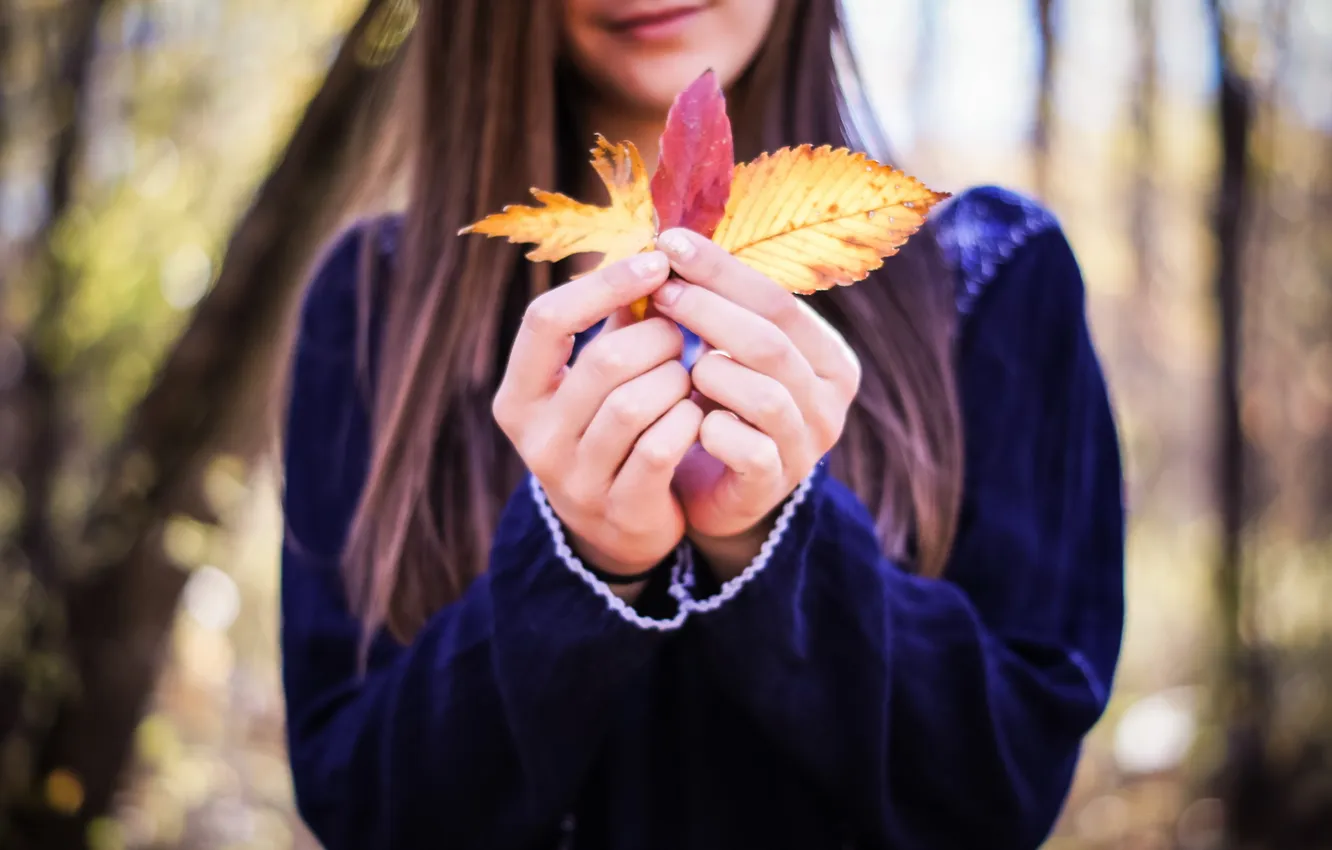 Photo wallpaper leaves, girl, hands