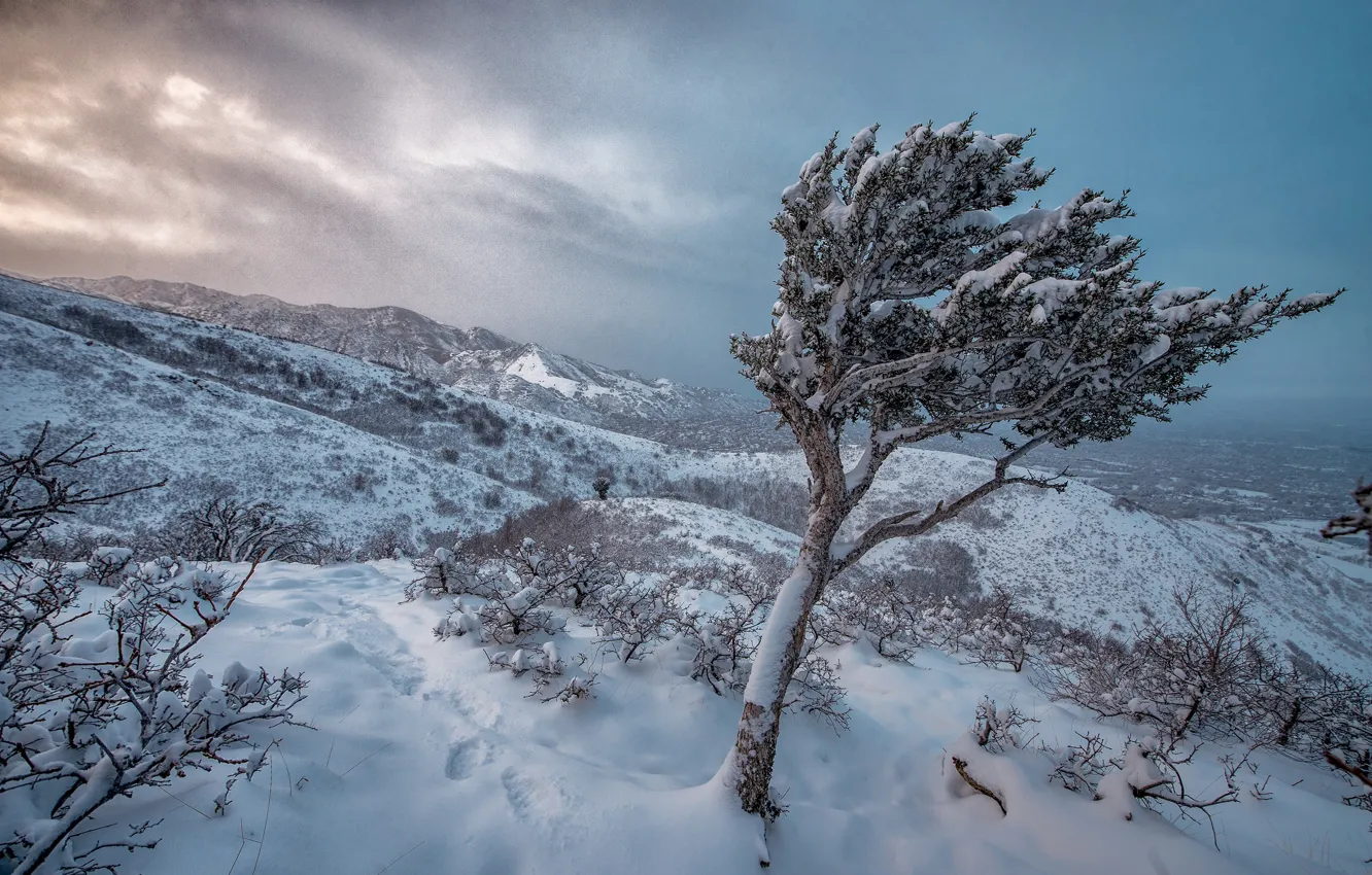 Photo wallpaper winter, frost, the sky, snow, trees, mountains