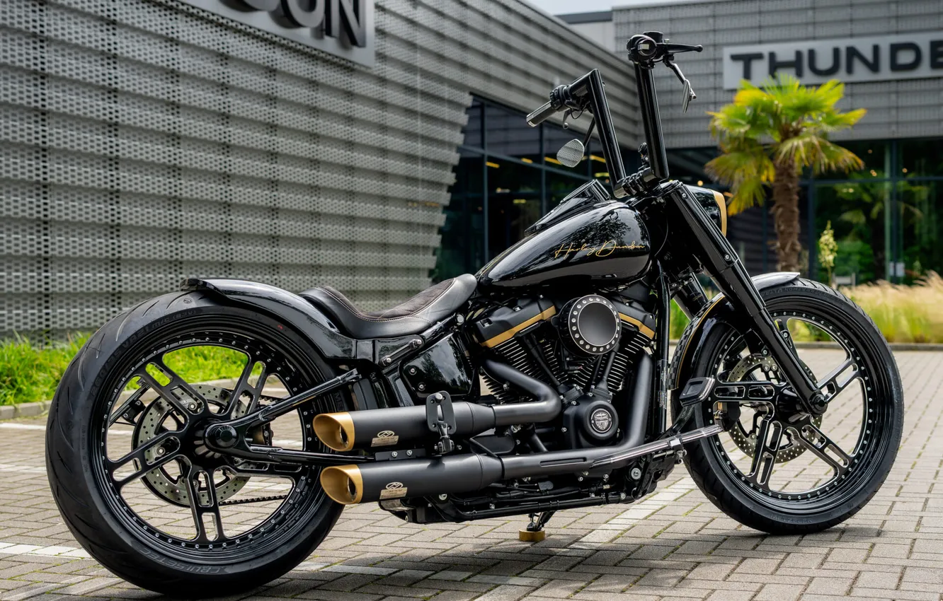 Photo wallpaper Harley-Davidson, Tuning, Softail, Rear, Customized, Fat Boy, Thunderbike, Custombikes