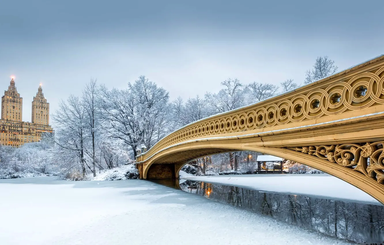 Photo wallpaper winter, snow, New York, USA, Central Park, bridge bow