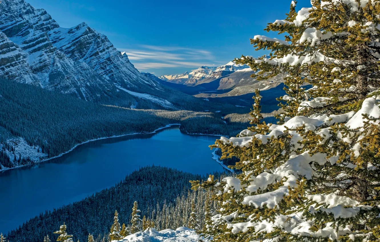 Photo wallpaper forest, snow, mountains, lake, spruce, Canada, Albert, Banff National Park