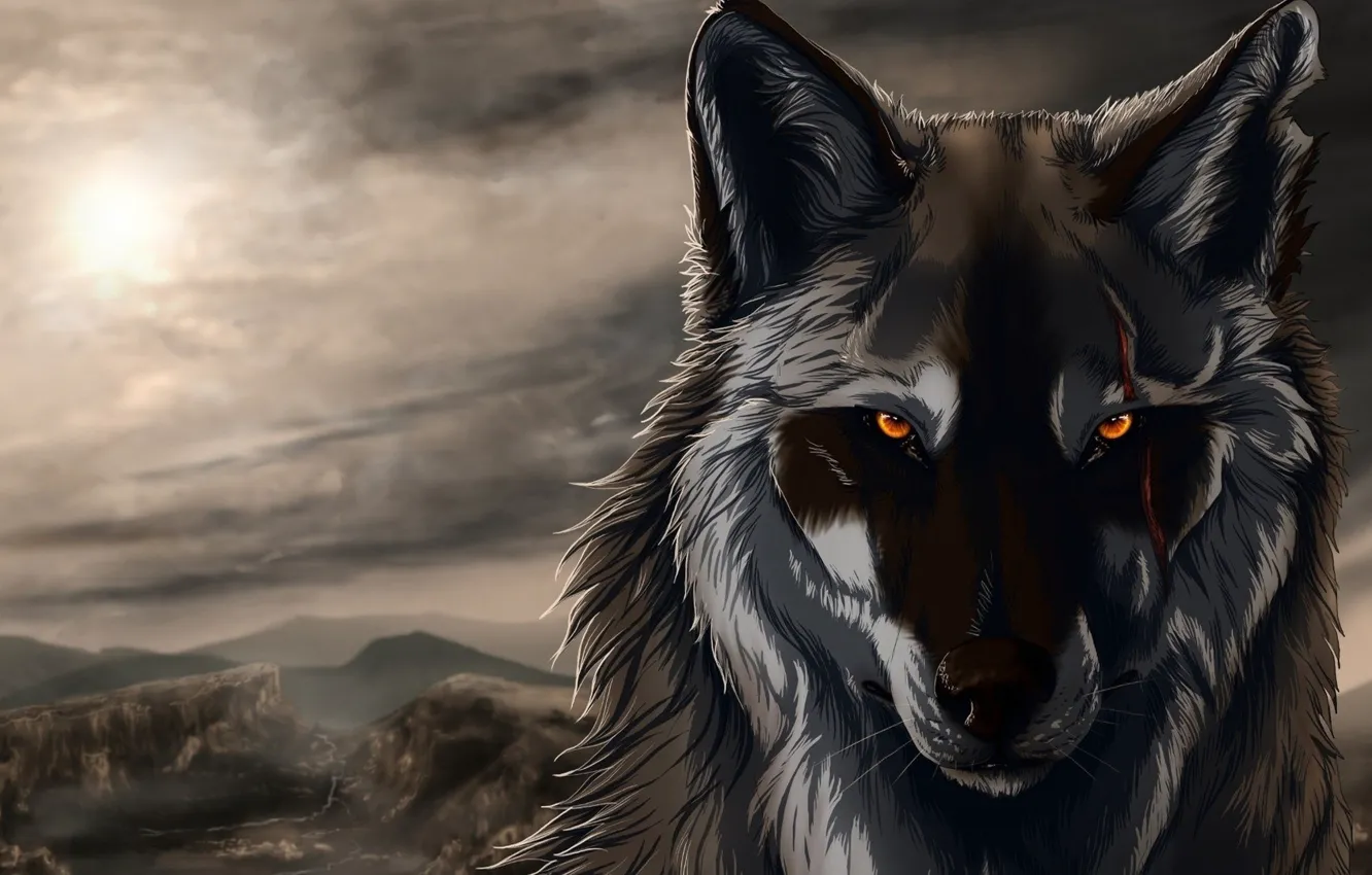 Photo wallpaper wolf, wolf, Viking