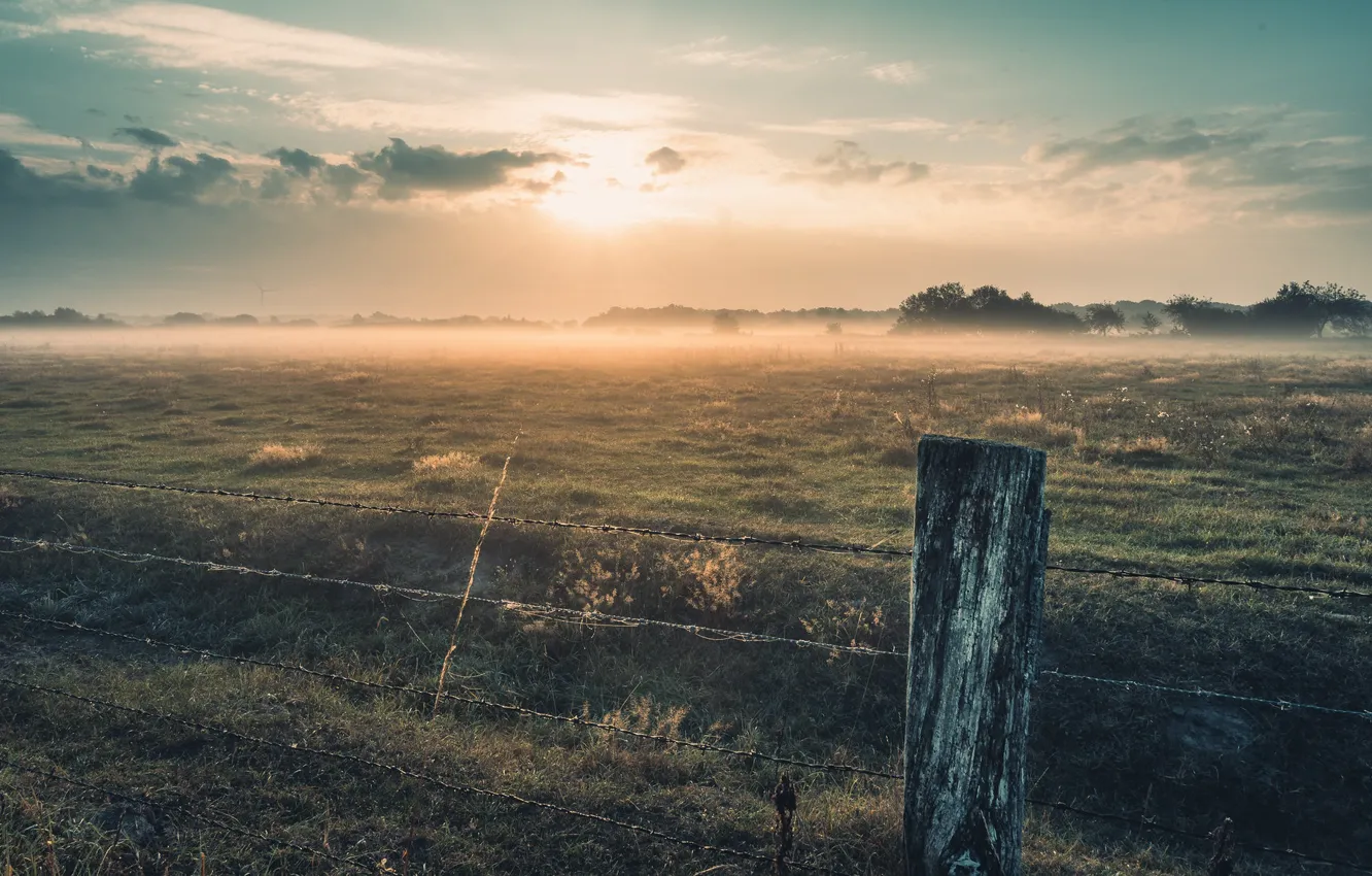 Photo wallpaper fog, the fence, morning