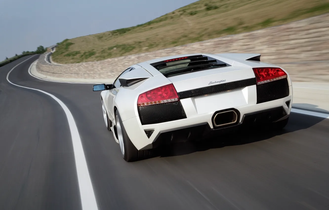 Photo wallpaper road, white, speed, Lamborghini, supercar, rear view, Murcielago, White