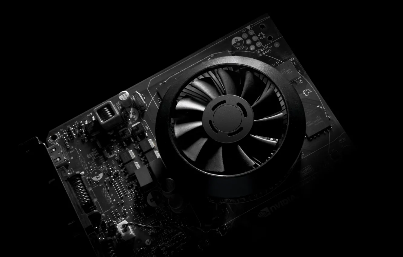 Photo wallpaper plastic, black and white, cooler, video card, electronica