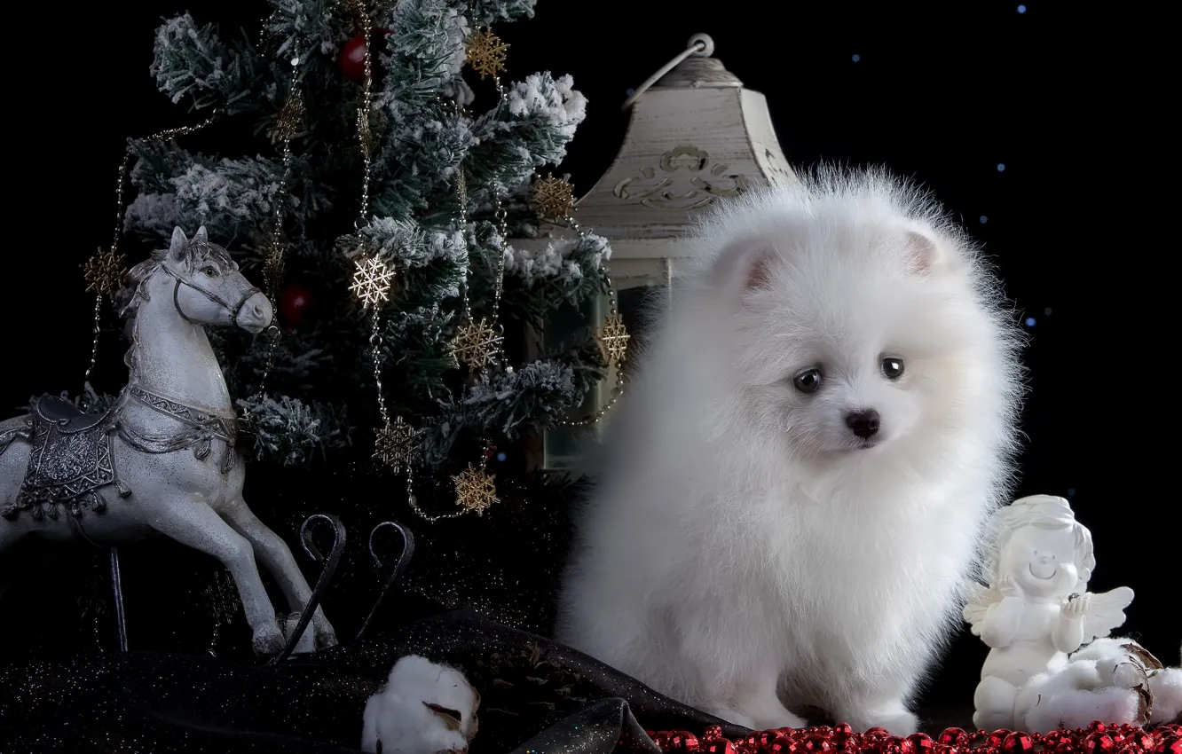 Photo wallpaper white, horse, toy, tree, new year, angel, lights, puppy