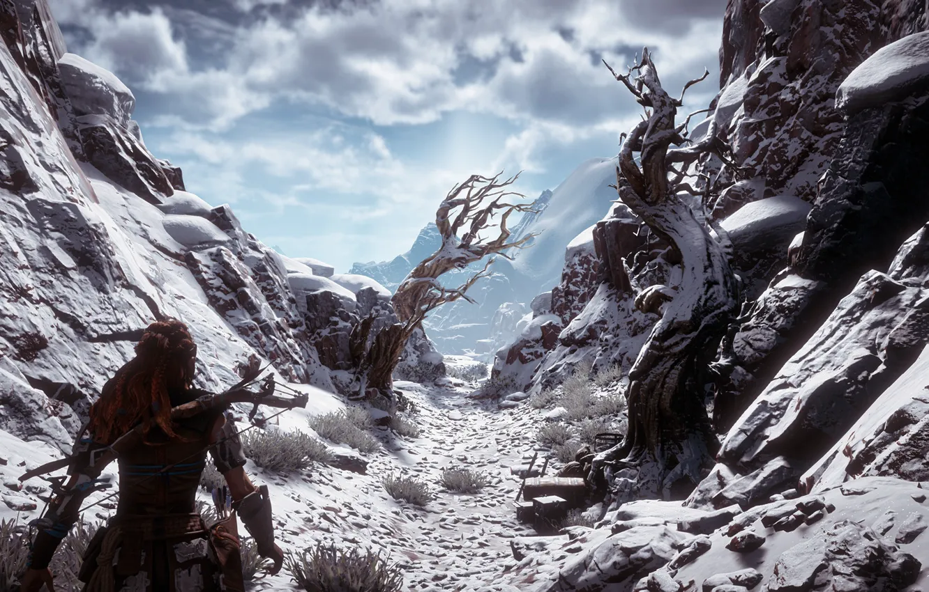 Photo wallpaper trees, gorge, postapokalipsis, exclusive, Playstation 4, Guerrilla Games, Horizon Zero Dawn, Eloy