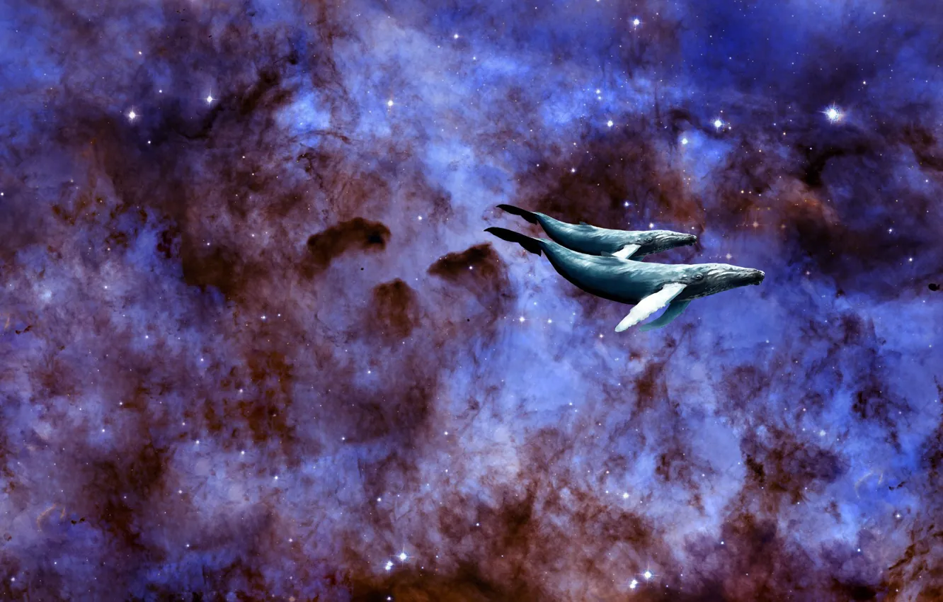 Photo wallpaper space, stars, the universe, kit, galaxy, space