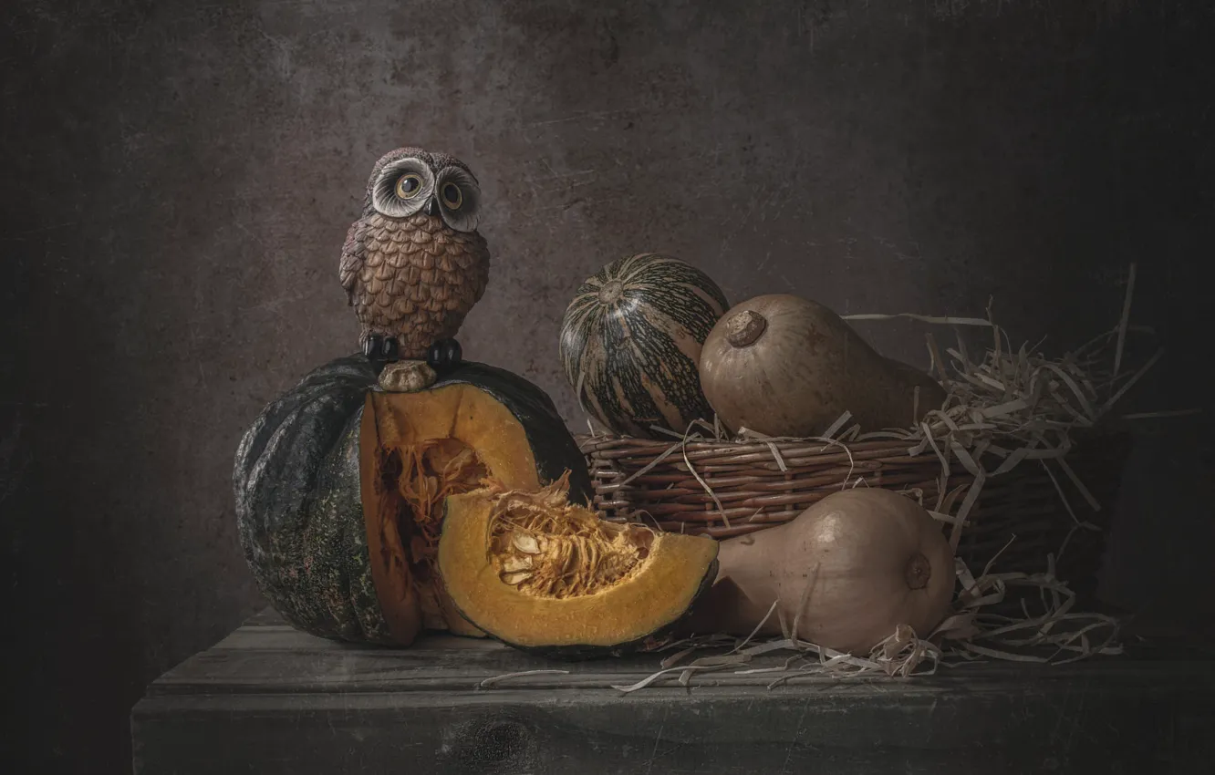 Photo wallpaper the dark background, table, owl, bird, pumpkin, pumpkin, still life, basket