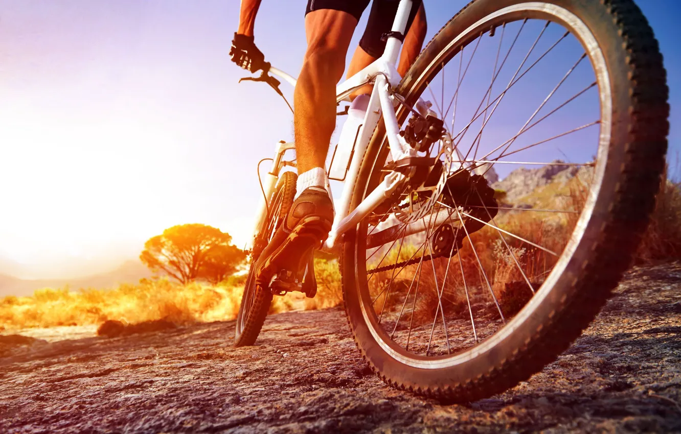 Photo wallpaper bike, sport, wheel, athlete, male, cyclist