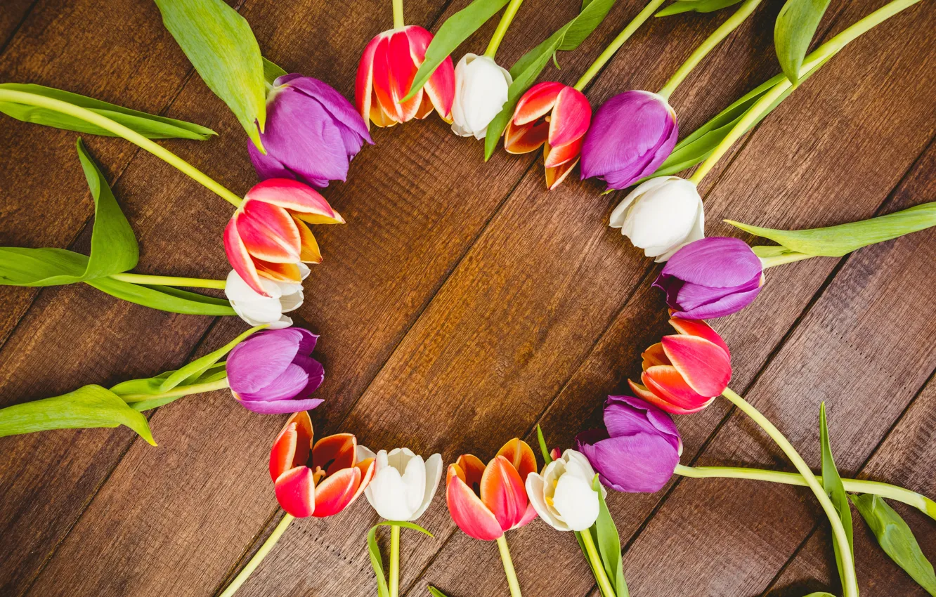 Photo wallpaper flowers, colorful, tulips, red, white, fresh, wood, flowers