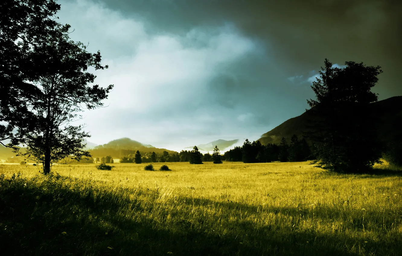 Photo wallpaper grass, trees, dawn, hills, morning, the sun's rays