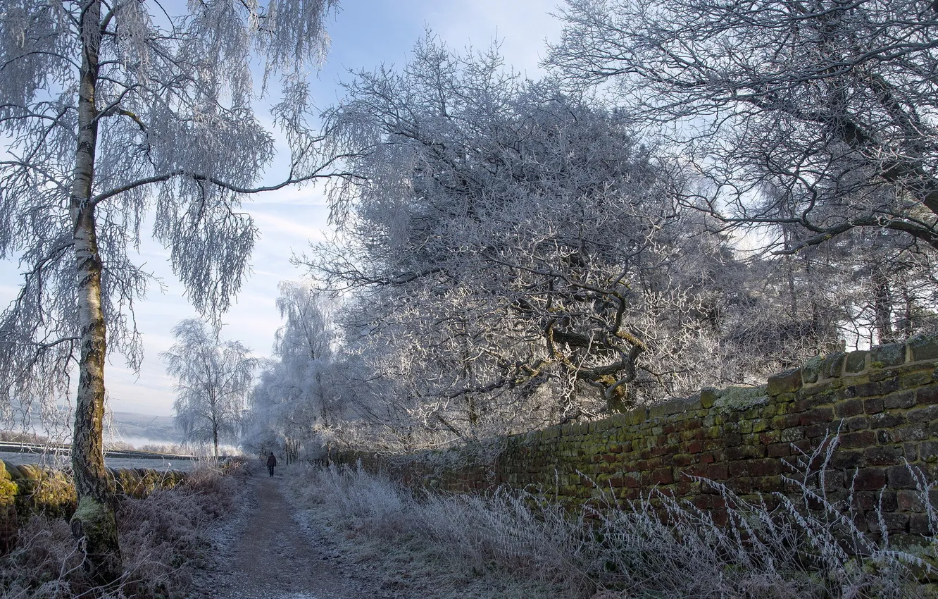 Photo wallpaper winter, road, the fence