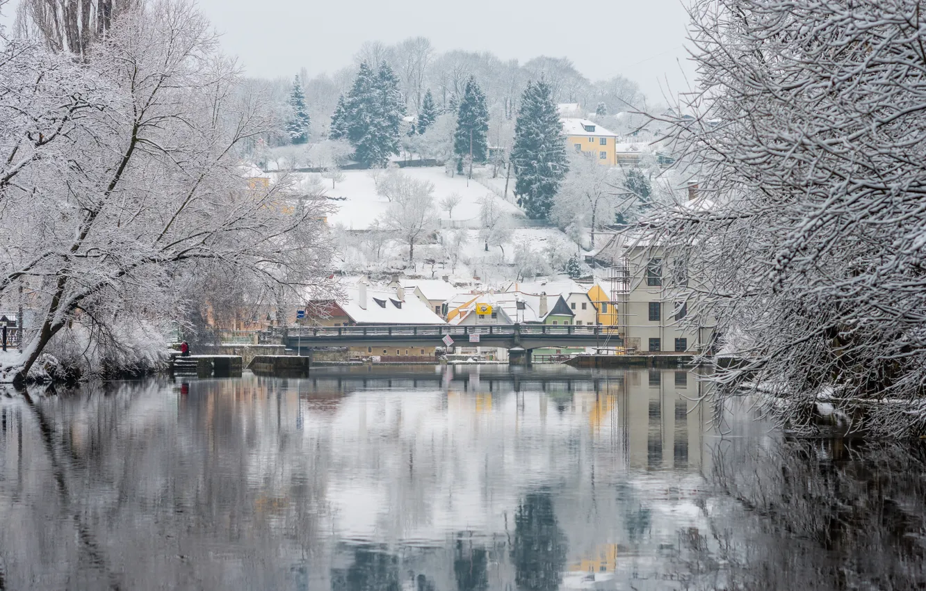 Photo wallpaper winter, snow, trees, river, Prague, Czech Republic, Vltava