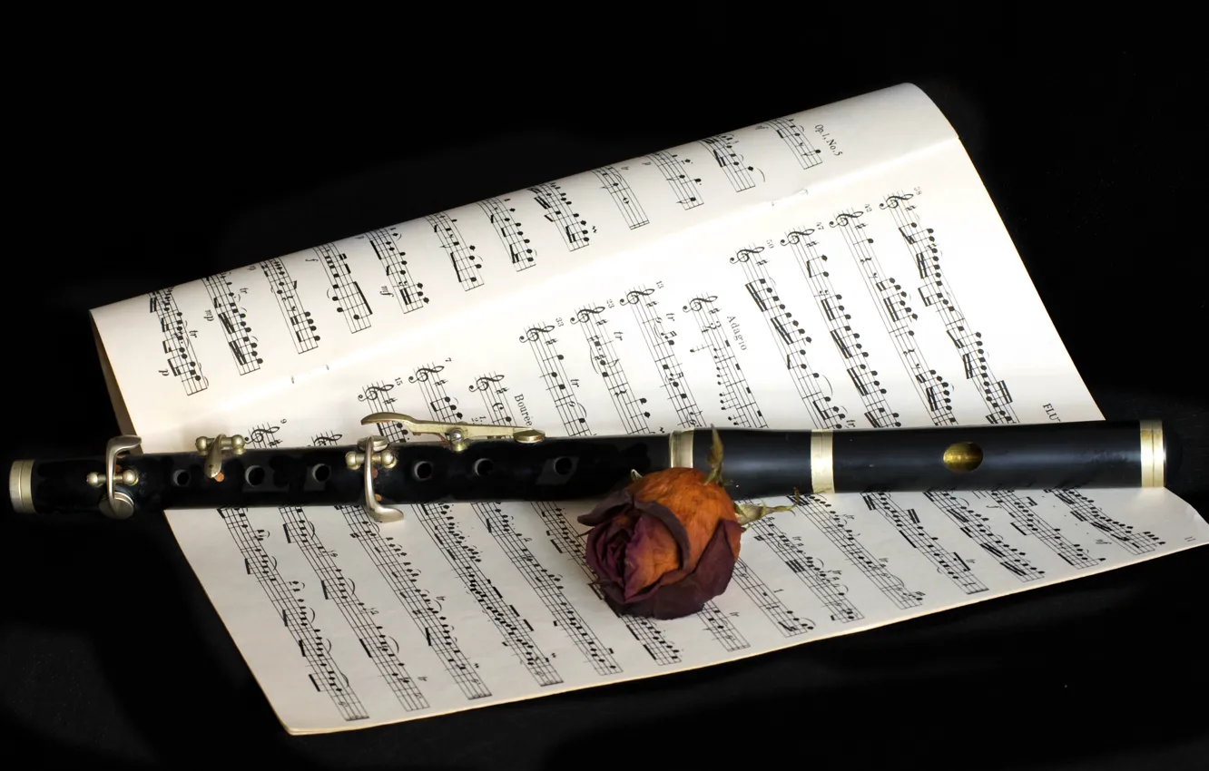 Photo wallpaper flowers, notes, music, flute