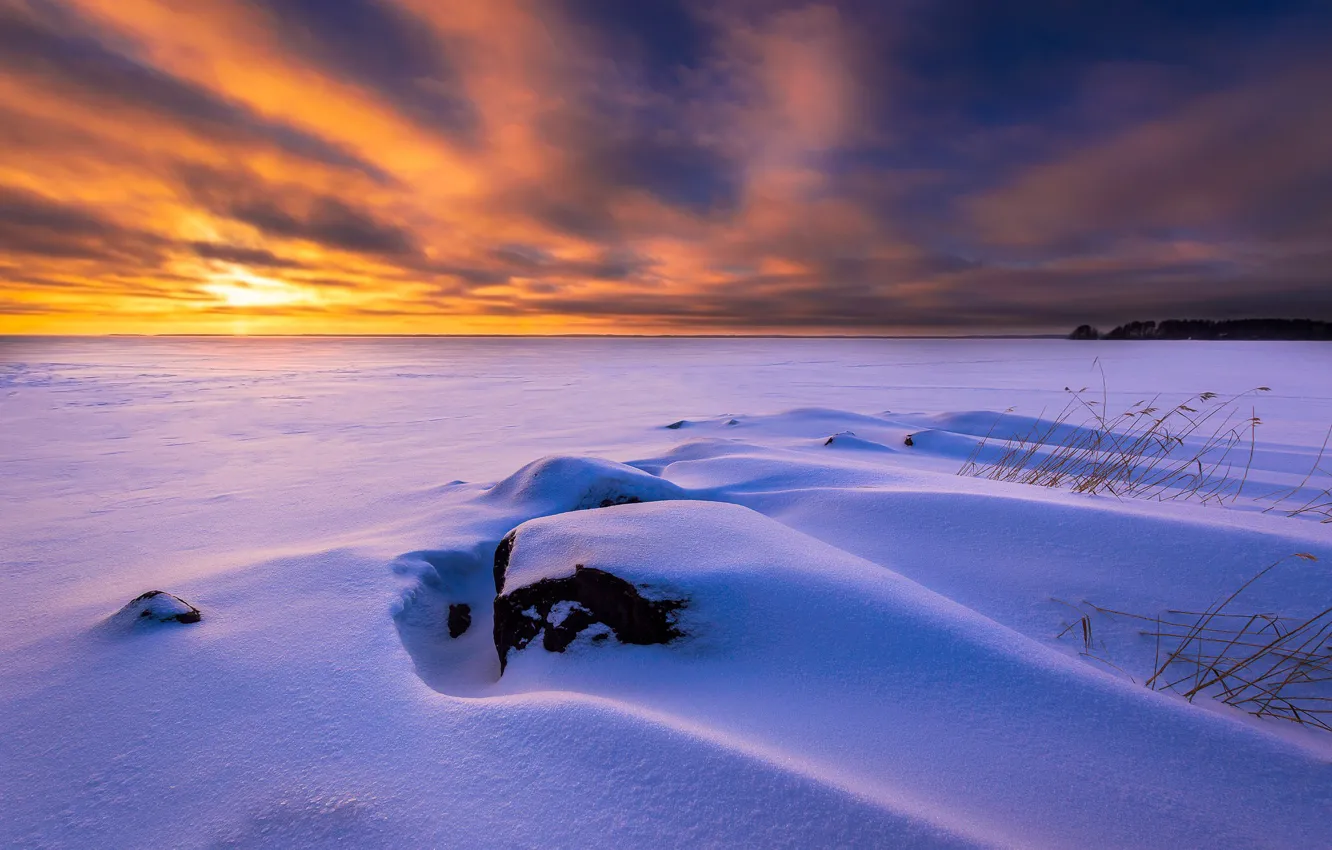 Photo wallpaper winter, snow, lake, Frozen, Finland, Finland, Joensuu