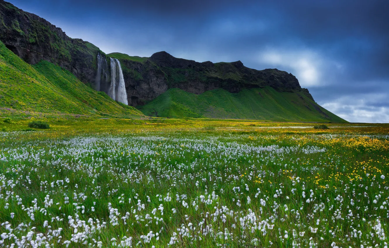 Photo wallpaper grass, flowers, rocks, waterfall, Iceland