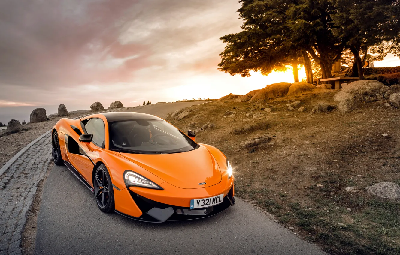 Photo wallpaper the sun, trees, McLaren, supercar, McLaren, 570S