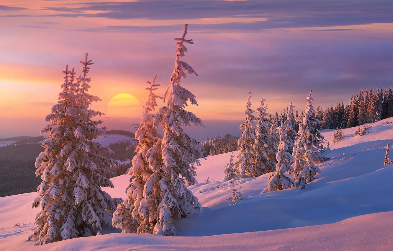 Photo wallpaper winter, the sun, clouds, snow, sunset, mountains, hills, tree