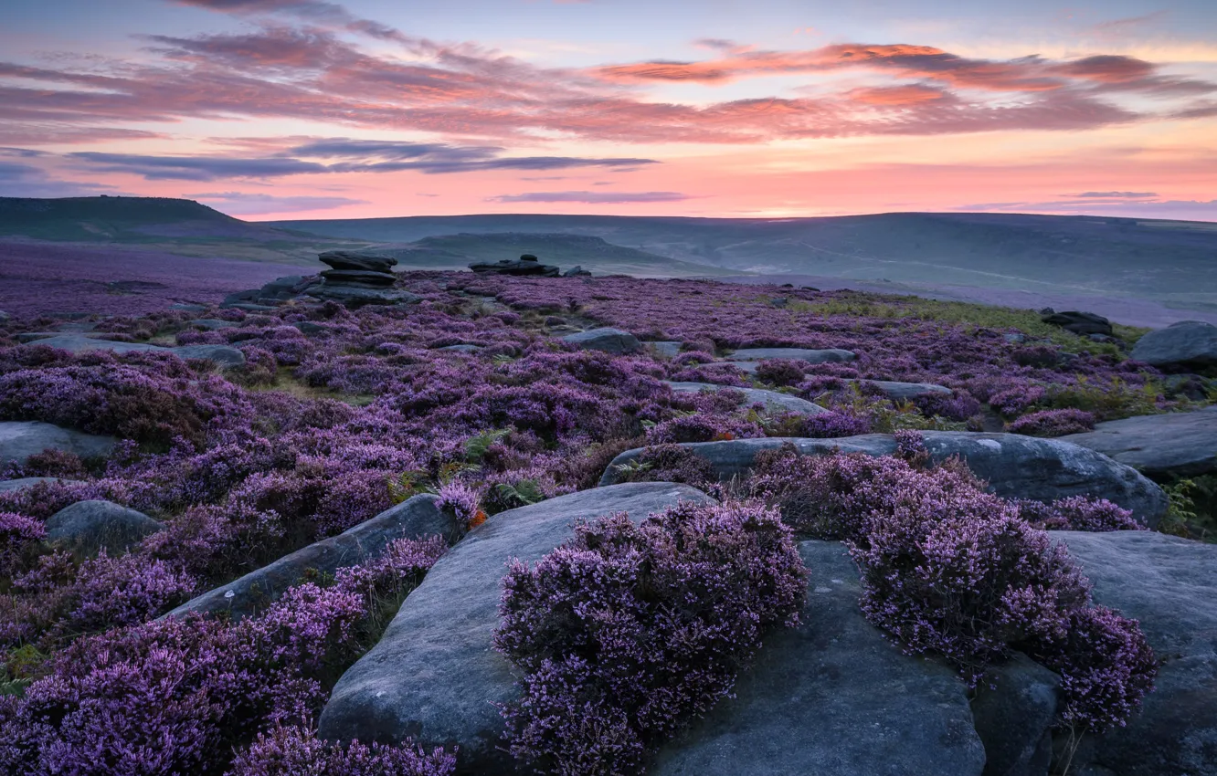 Photo wallpaper stones, hills, Heather