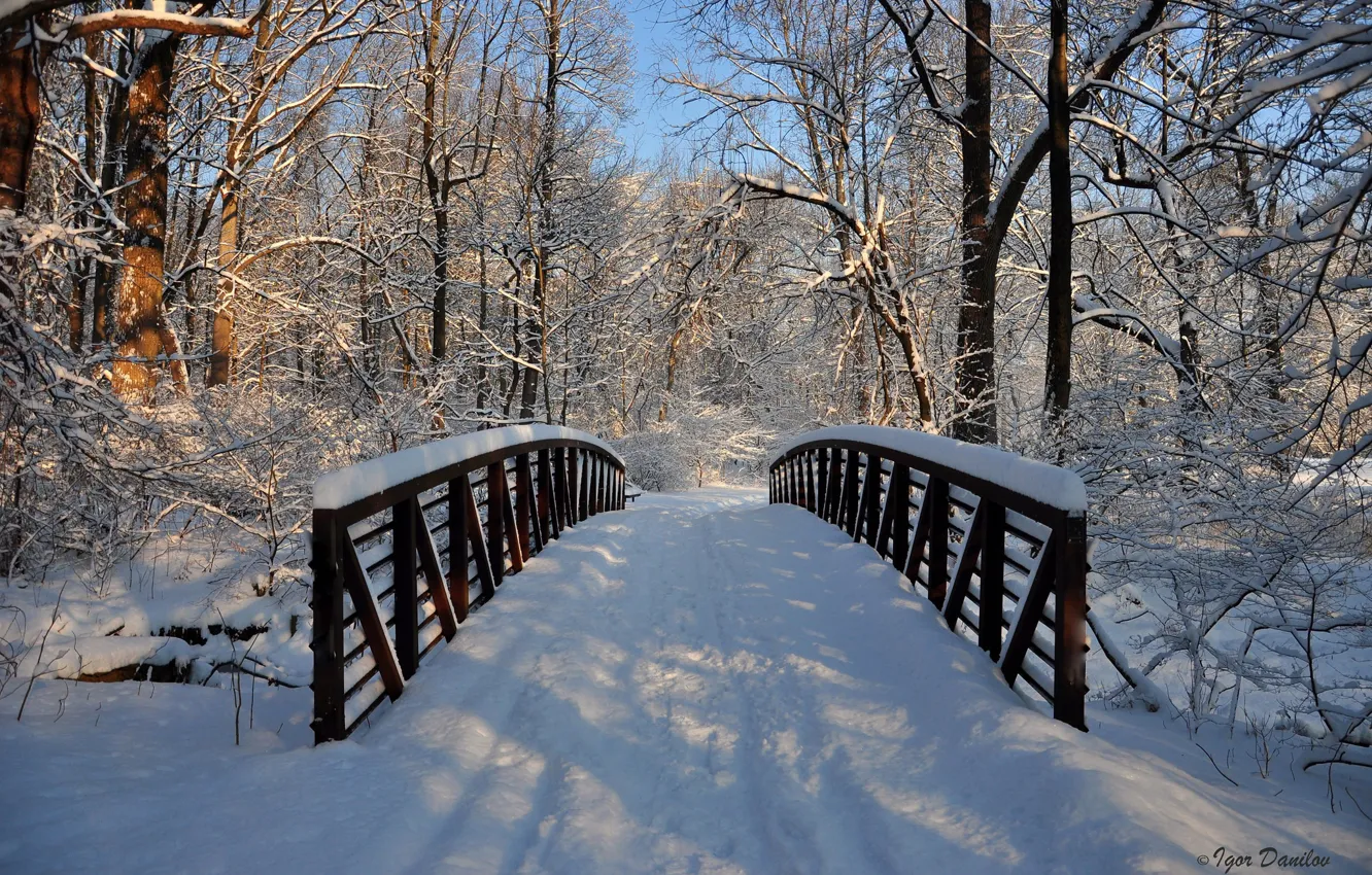 Photo wallpaper winter, snow, trees, bridge