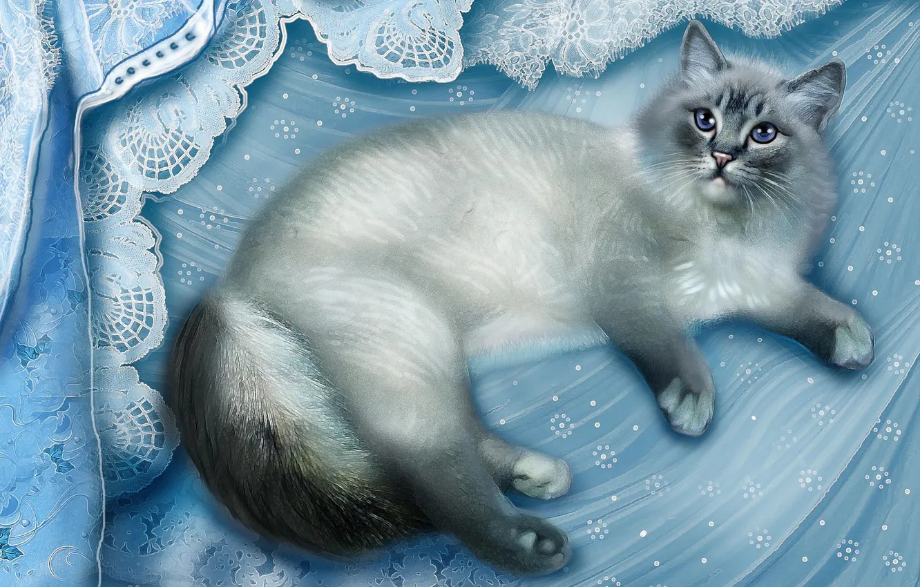 Photo wallpaper cat, grey, blue, fabric, lies