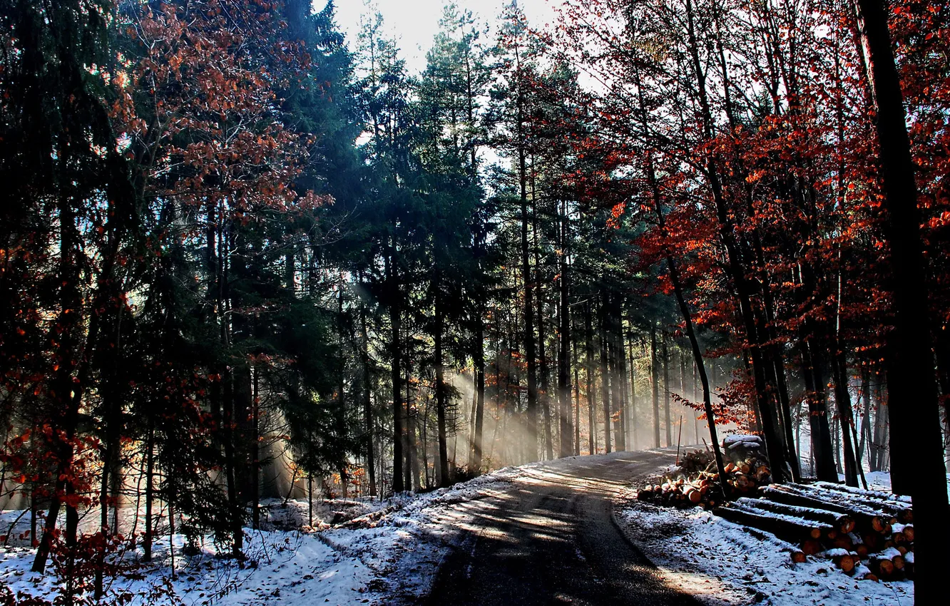 Photo wallpaper winter, road, forest, rays, light, nature