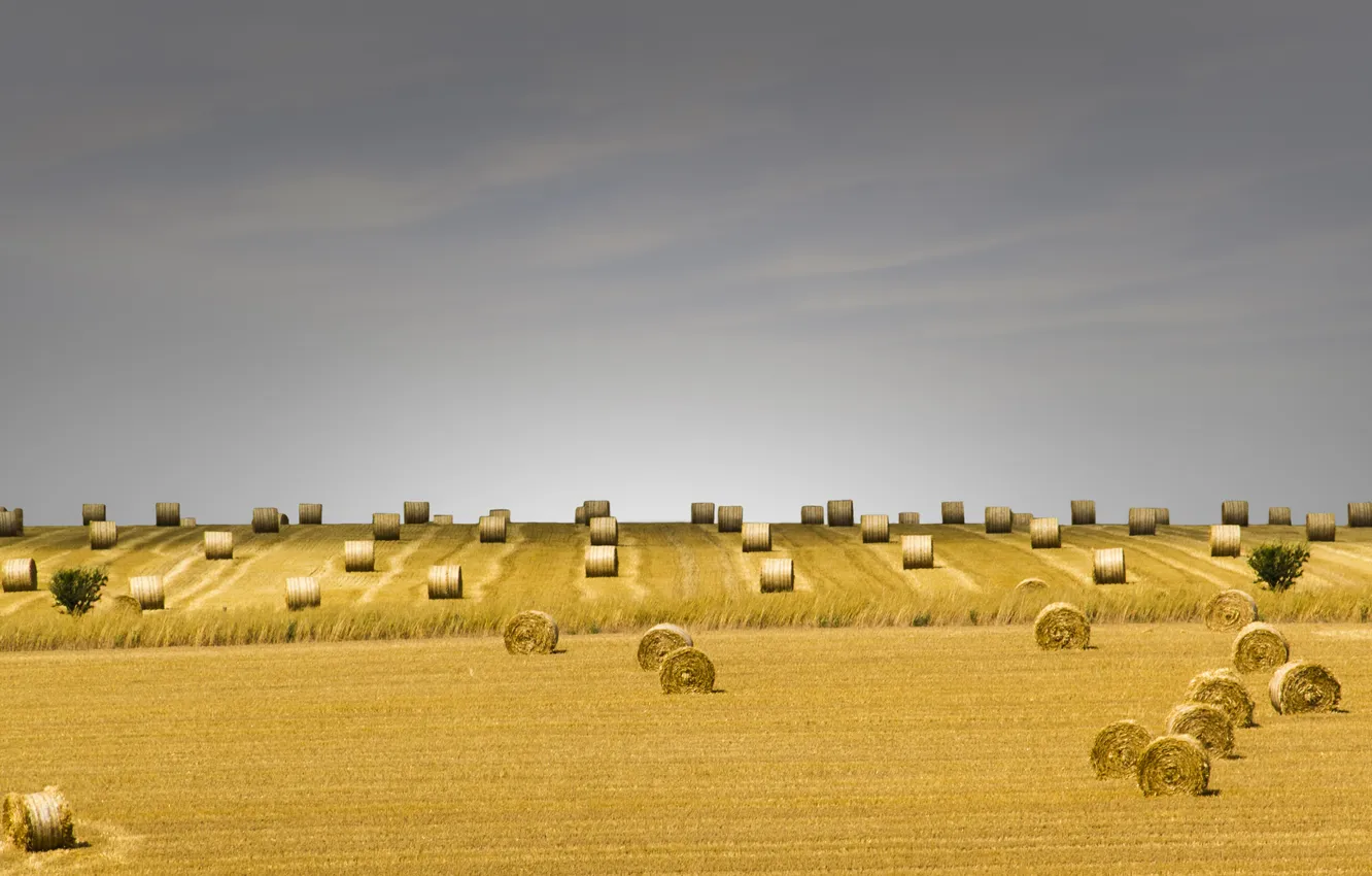Photo wallpaper field, hay, the gray sky, farm