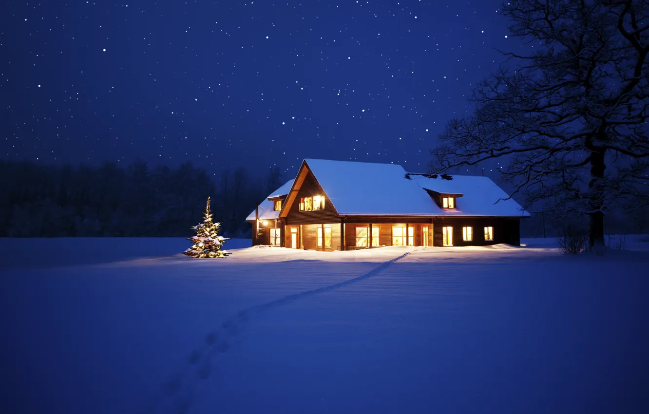 Photo wallpaper lights, house, tree, New Year, Christmas, Christmas, night, winter