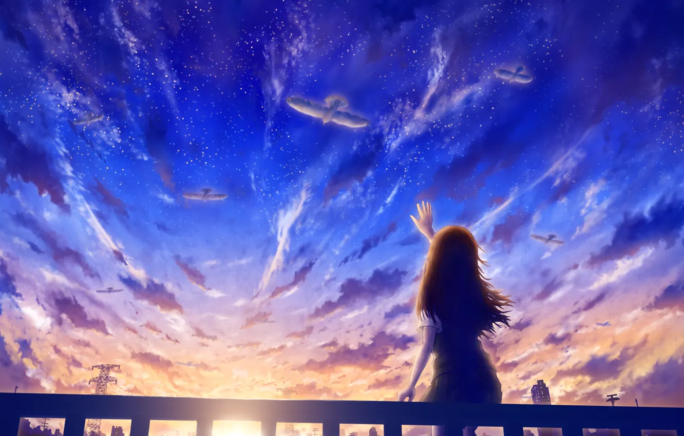 Photo wallpaper roof, the sky, girl, sunset, the city, bird, he holds out his hands