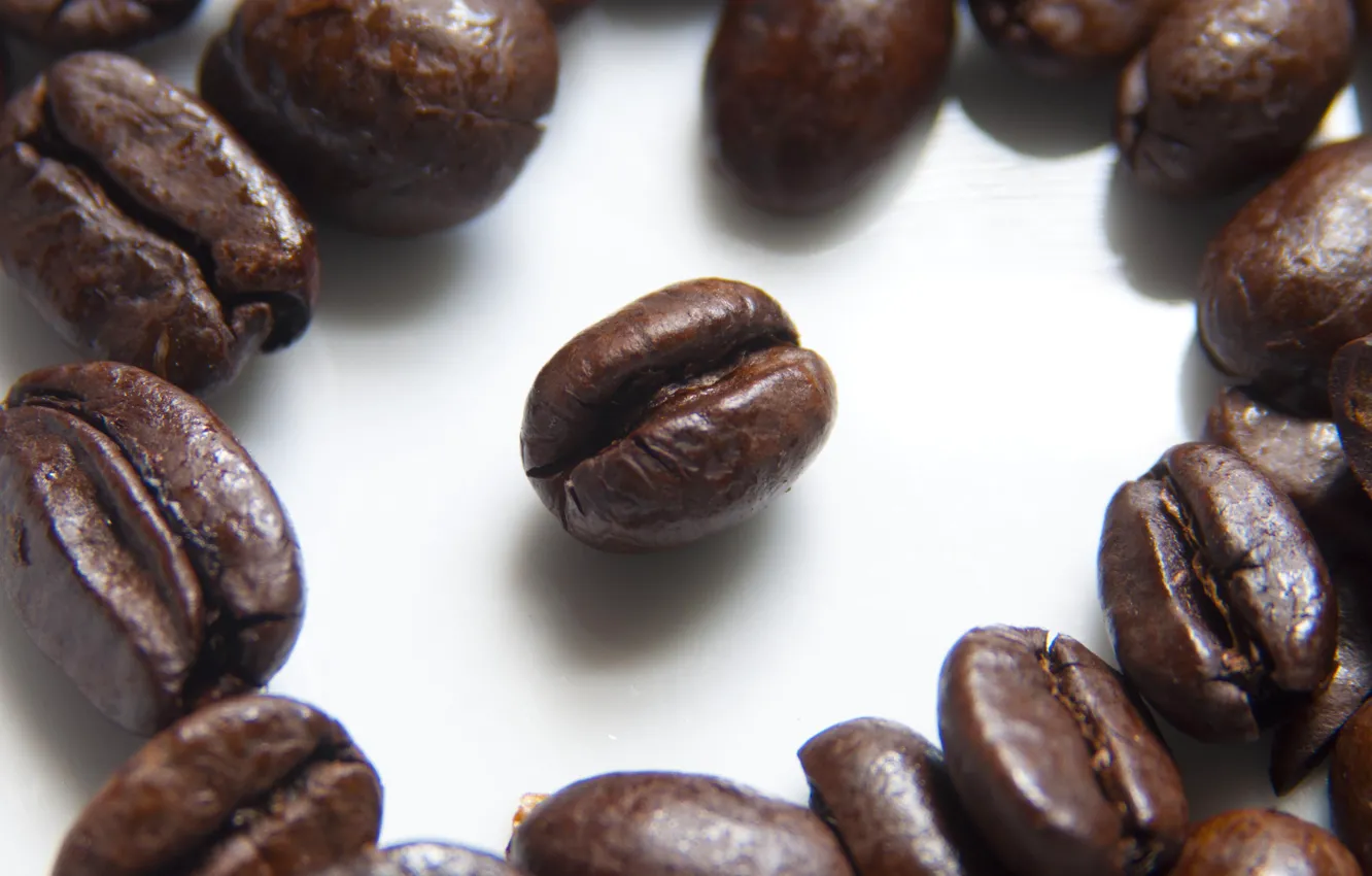 Photo wallpaper macro, coffee, grain