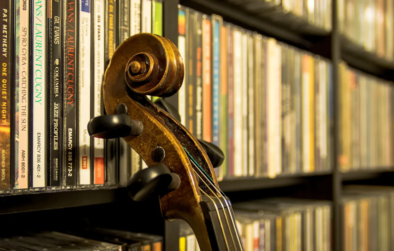 Photo wallpaper strings, screw, Grif, musical instrument, library